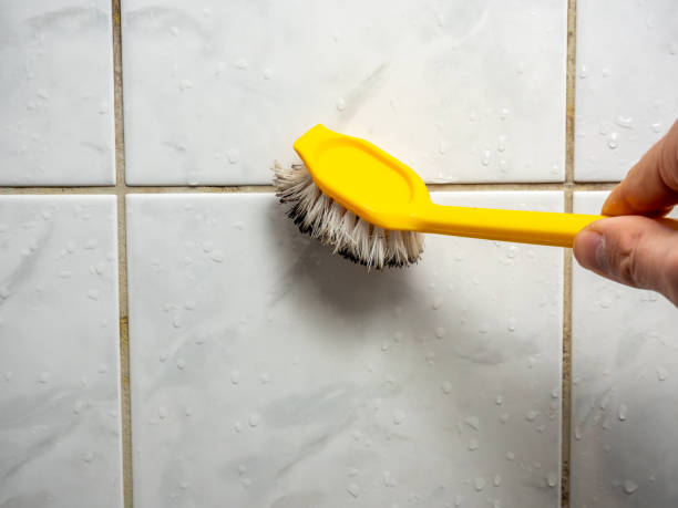 Best Mold Cleaning Services  in Arcadia, SC